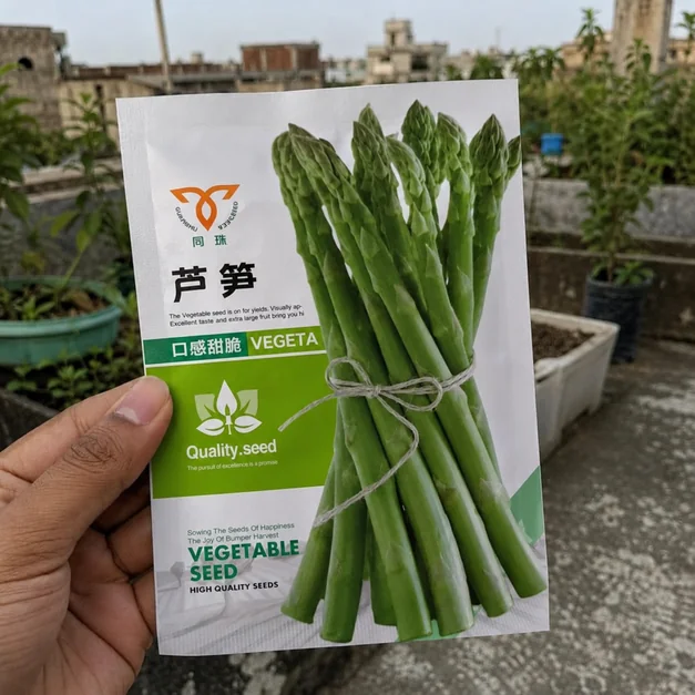 Green_Asparagus_Seeds_14