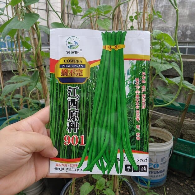 Pole_Sitao_Seeds_07