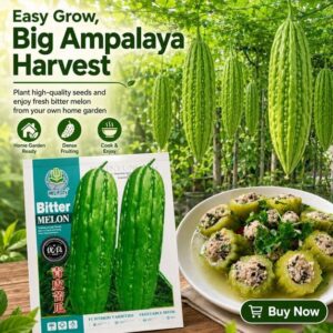 Ampalaya (Bitter Gourd) Seeds