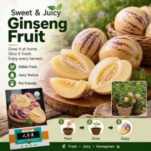 Ginseng Fruit Seeds