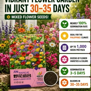 Mixed Flower Seeds